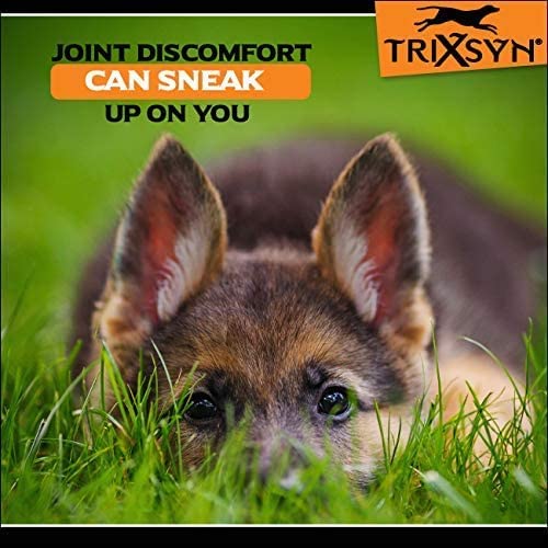 TRIXSYN Canine for Dogs - Liquid Hyaluronic Acid Hip and Joint Care Supplement for Small & Senior Dogs - 6 fl oz, 2 Pack, 144 Day Supply