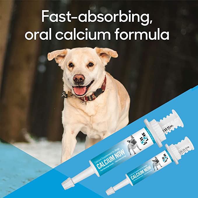 Calcium Now - Oral Calcium for Whelping Dogs - Dog & Cat Calcium Supplement Paste - Lots of Love (Vanilla, 30 ml Paste)