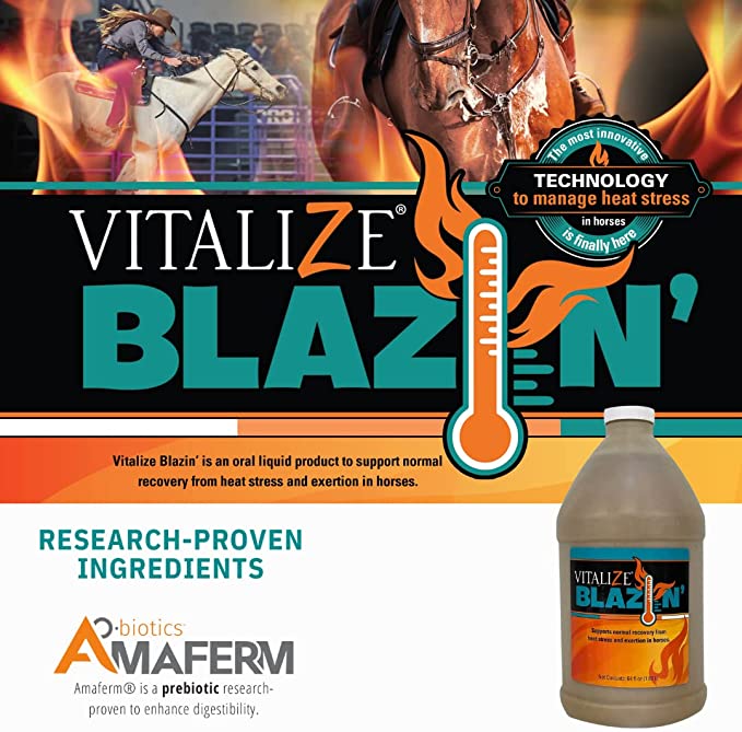 VITALIZE Blazin - Horse Heat Stress & Exertion Recovery - Calming Supplement - Promotes Hydration & Water Retention (32 fl oz)