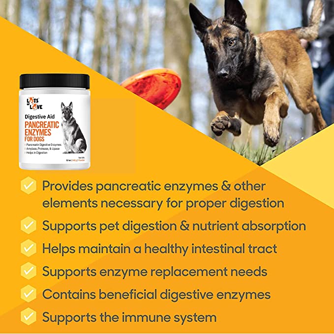 Pancreatic Enzymes for Dogs (Thomas Pet Bio Case Same Formula) - Lots of Love Pet Products - 12 Oz Powder