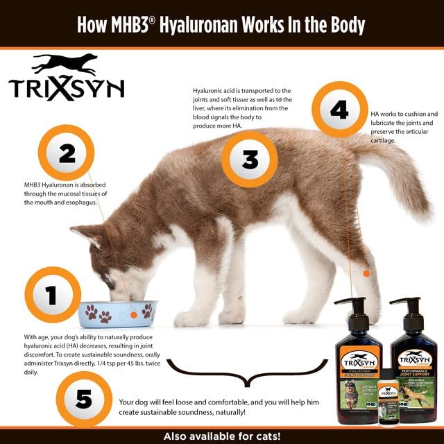 TRIXSYN Canine - All Natural Hip and Joint Care for Dogs- Enhance Joint Mobility and Cartilage Function - Live Healthier and Happier- Patented MHB3 Hylauronan Liquid Formula