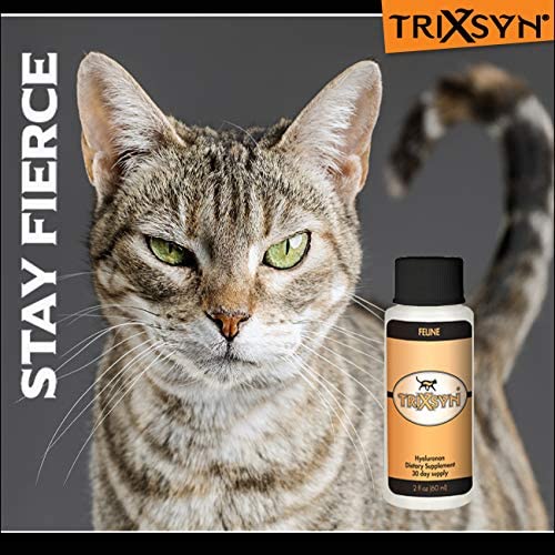 TRIXSYN Feline - Naturally Alleviate Discomfort, Promote Healthy Joints, Support Mobility and Cartilage Function for Cats 2-Pack 60 Day Supply