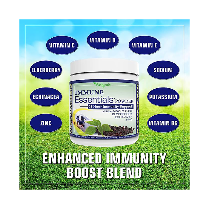 Wellgenix Natural Immune System Supplement - Raspberry Lemonade Flavor (7.57Oz) - Immune System Booster for Kids & Adults - Elderberry, Echinacea, Vitamin B6, C, D, E, & Zinc