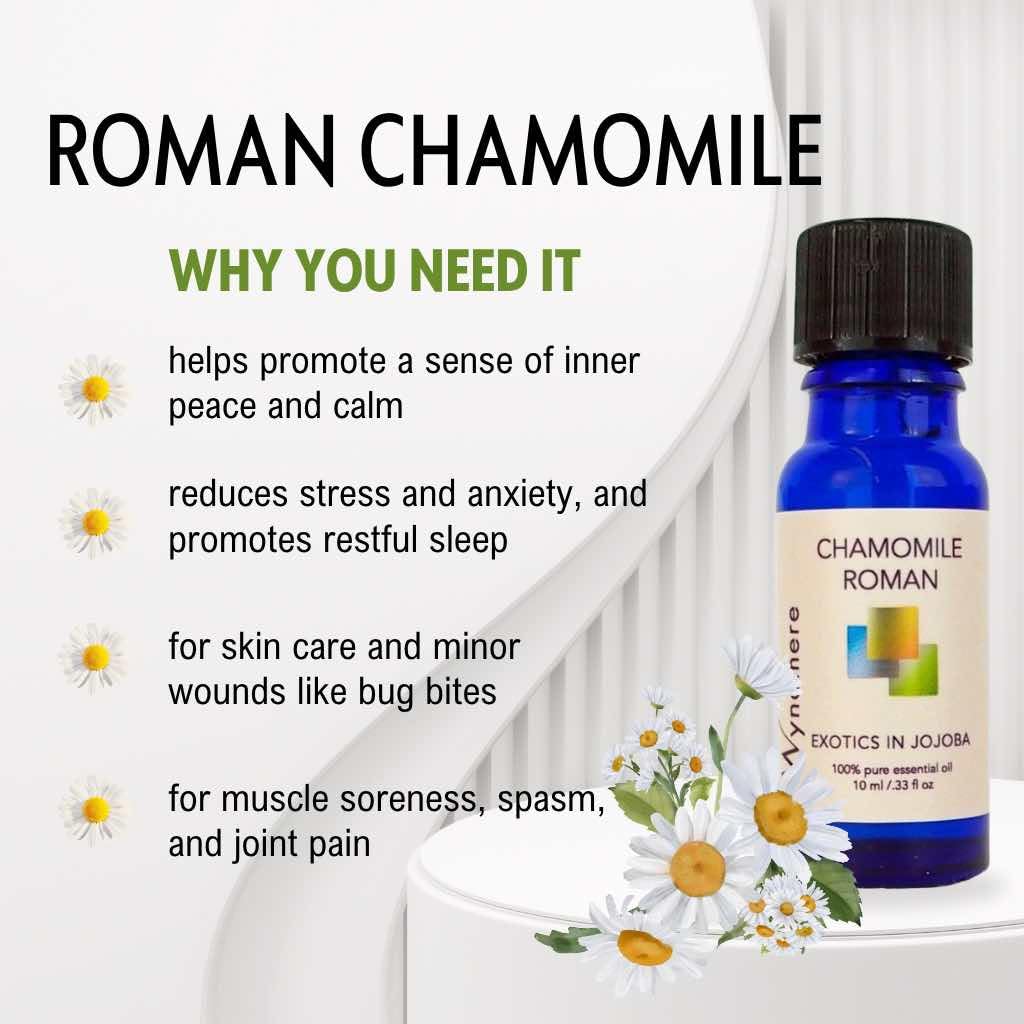 Chamomile Roman In Jojoba