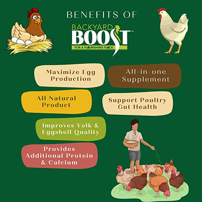 Backyard Boost Daily Essentials Chicken Feed | Palleted High Protein Food for Laying Hens | 2.5 Pound Bag