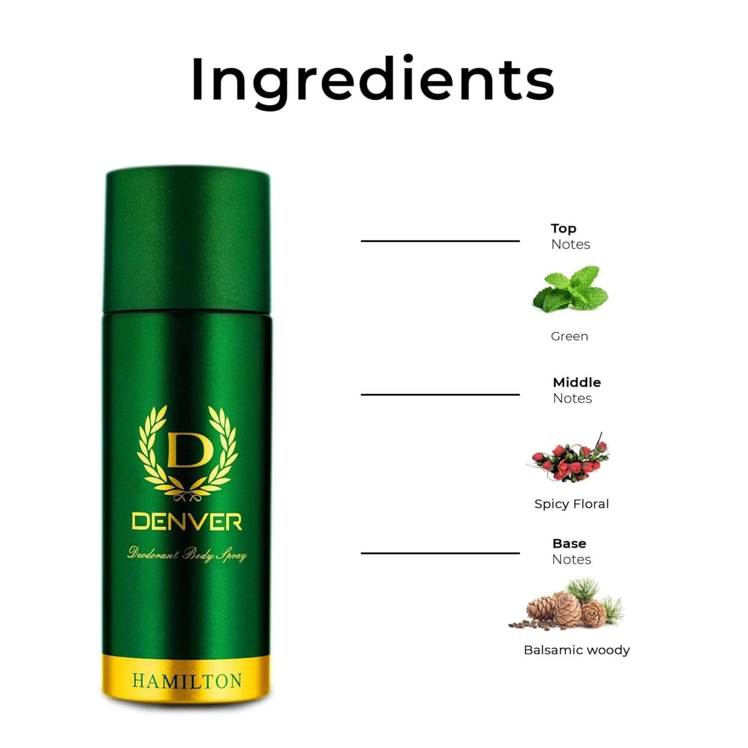 2 Hamilton Deodorant Spray - For Men(200 ml)