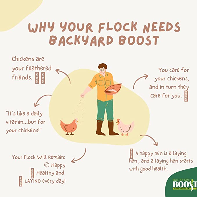 Backyard Boost Daily Essentials Chicken Feed | Palleted High Protein Food for Laying Hens | 2.5 Pound Bag
