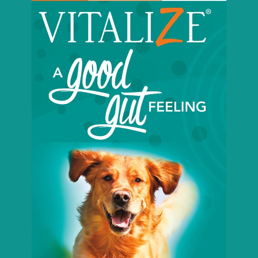 Vitalize Dog Gel - After Surgery Recovery & Probiotics Alternative Immune Support Booster Supplement for Dogs Digestive & Gut Health - Liquid Gel Paste (15 ml)
