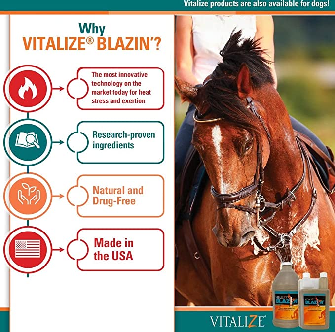 VITALIZE Blazin - Horse Heat Stress & Exertion Recovery - Calming Supplement - Promotes Hydration & Water Retention (32 fl oz)