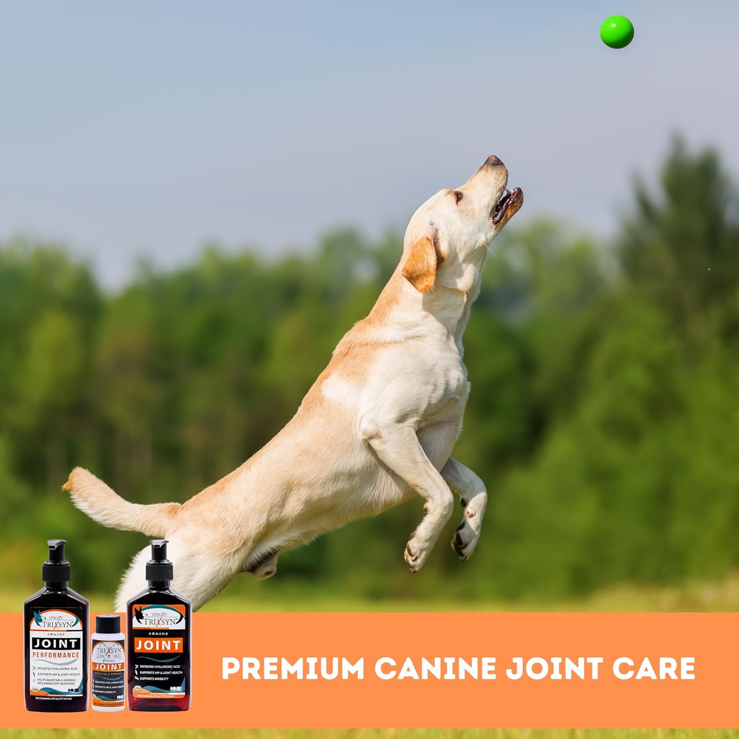 Canine for Dogs - Liquid Hyaluronic Acid Hip and Joint Care Supplement for Small & Senior Dogs - 6 fl oz, 2 Pack, 144 Day Supply