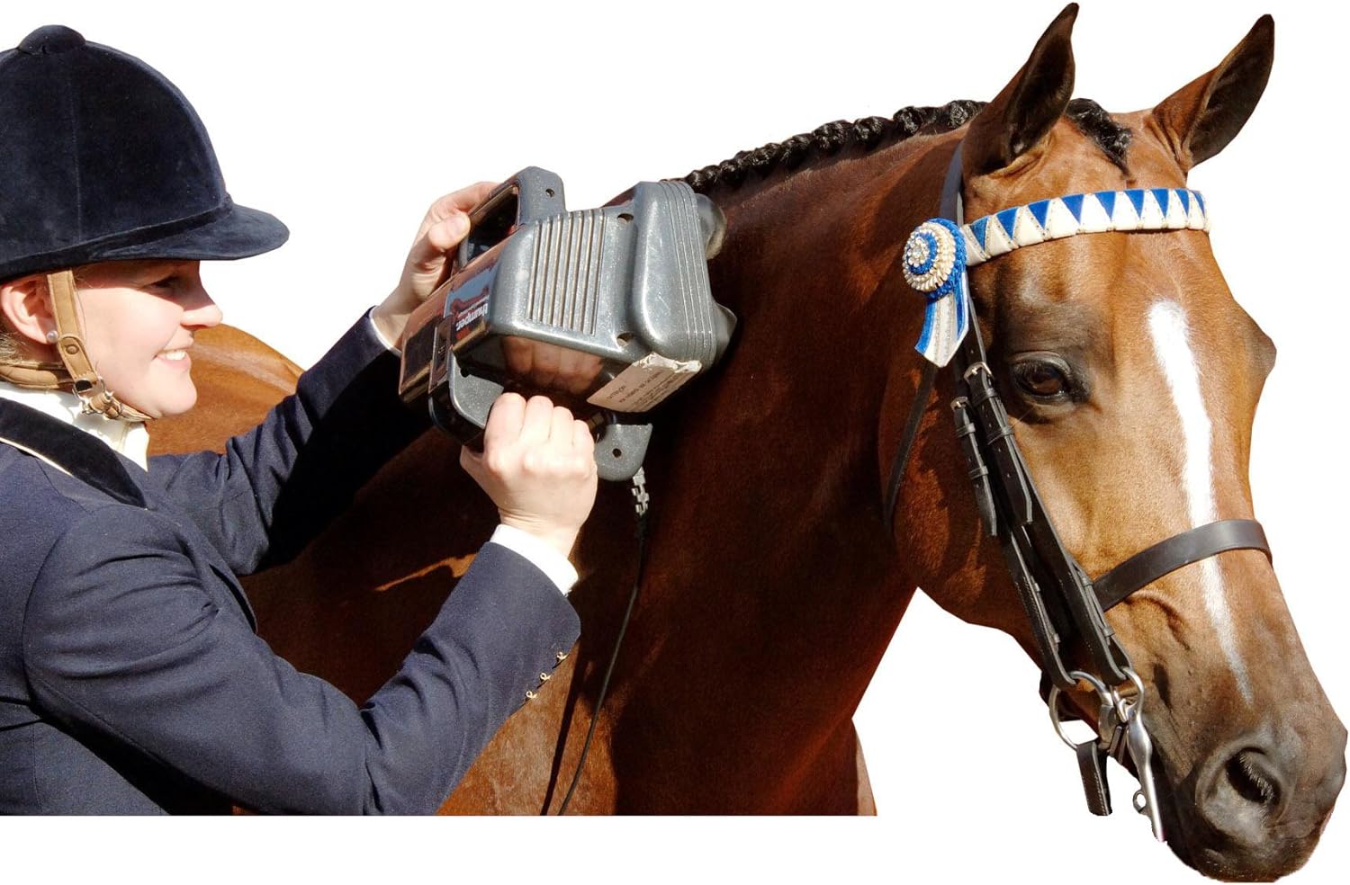 Thumper Equine Professional Horse Massager – Powerful percussive massager designed for horses. Can be used outdoors - deep tissue full body massager for professional use.