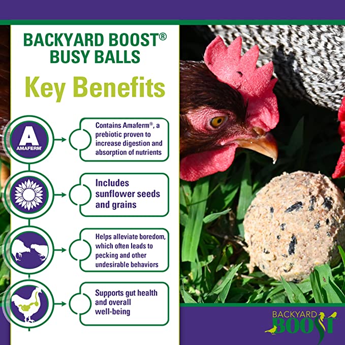 Backyard Boost Busy Balls - Prebiotic Chicken Food Treat to Alleviate Boredom - 1.36.Pounds (Pack of 6)