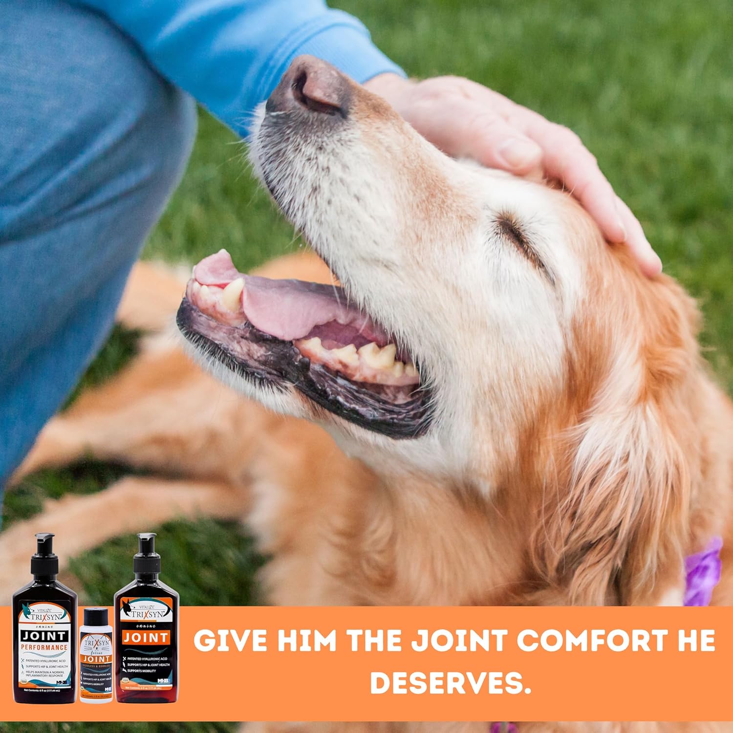 Canine for Dogs - Liquid Hyaluronic Acid Hip and Joint Care Supplement for Small & Senior Dogs - 6 fl oz, 2 Pack, 144 Day Supply