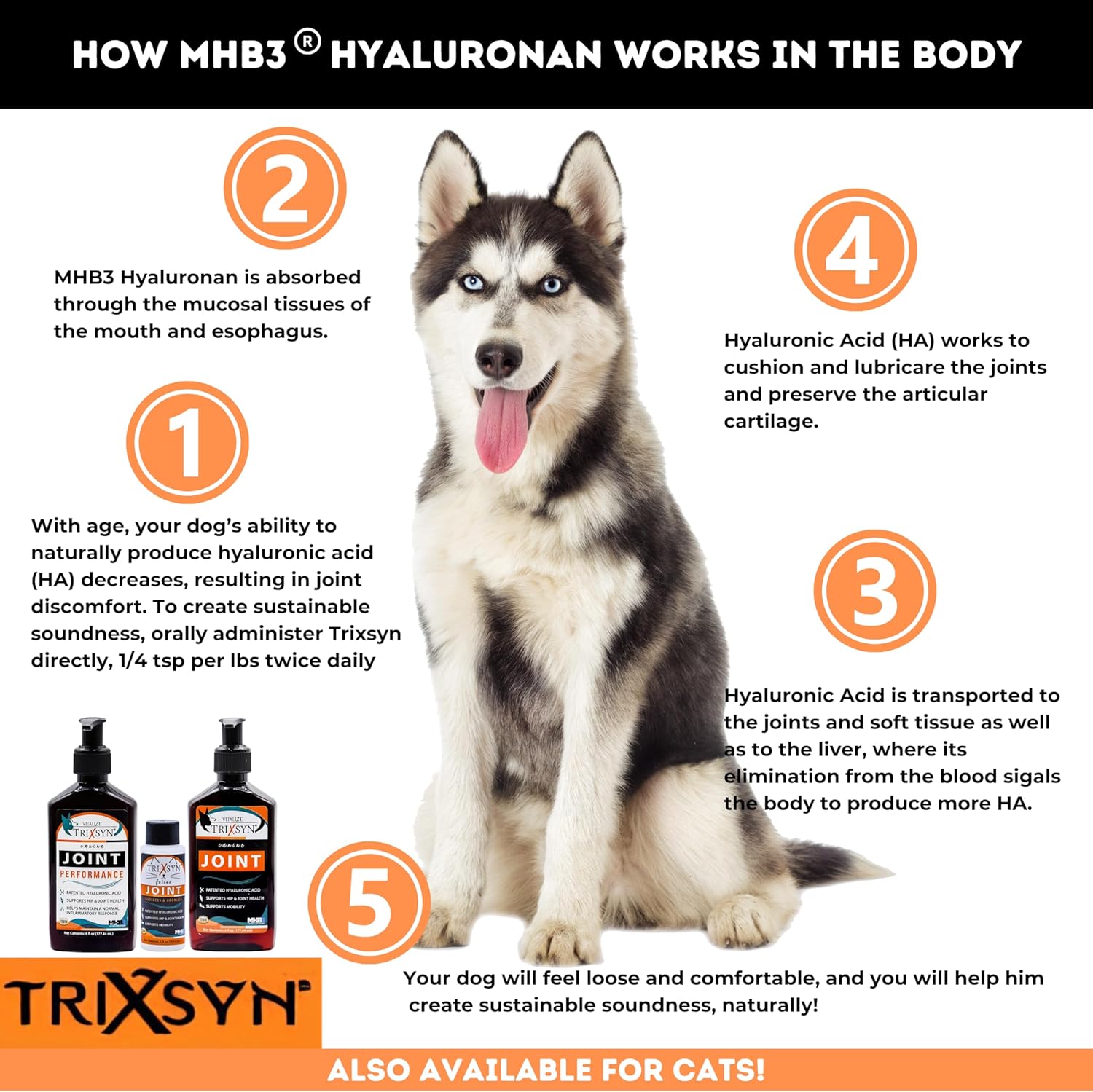Canine for Dogs - Liquid Hyaluronic Acid Hip and Joint Care Supplement for Small & Senior Dogs - 6 fl oz, 2 Pack, 144 Day Supply