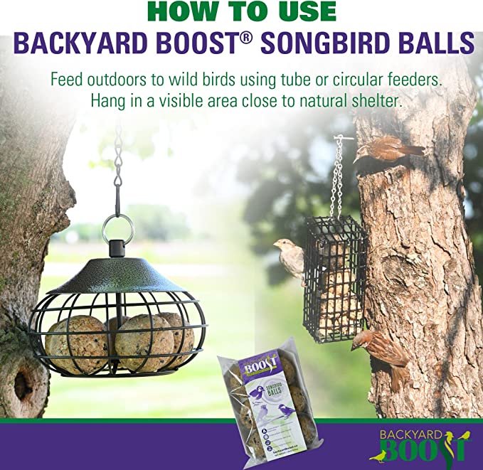 Backyard Boost Songbird Balls - Bird Food for Outside Wild Birds
