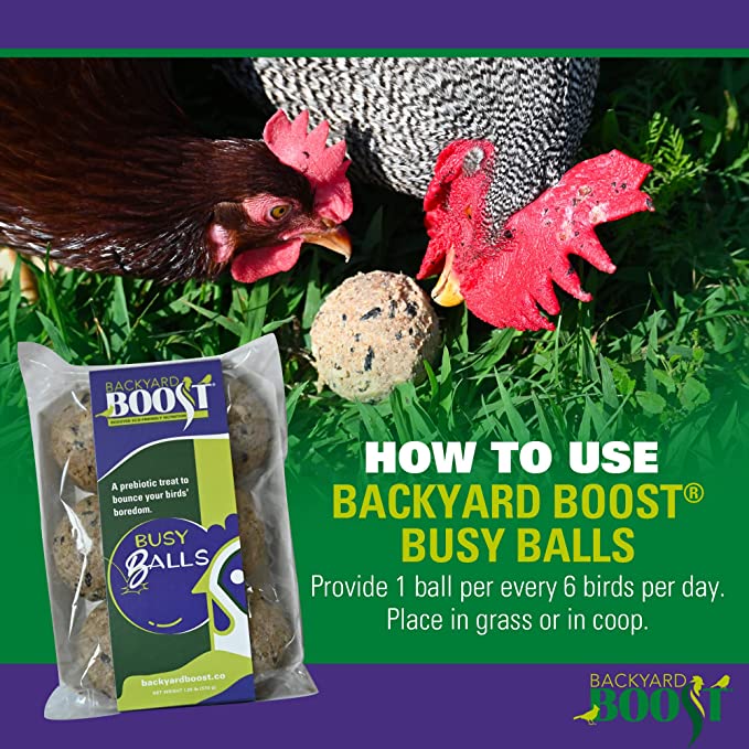 Backyard Boost Busy Balls - Prebiotic Chicken Food Treat to Alleviate Boredom - 1.36.Pounds (Pack of 6)