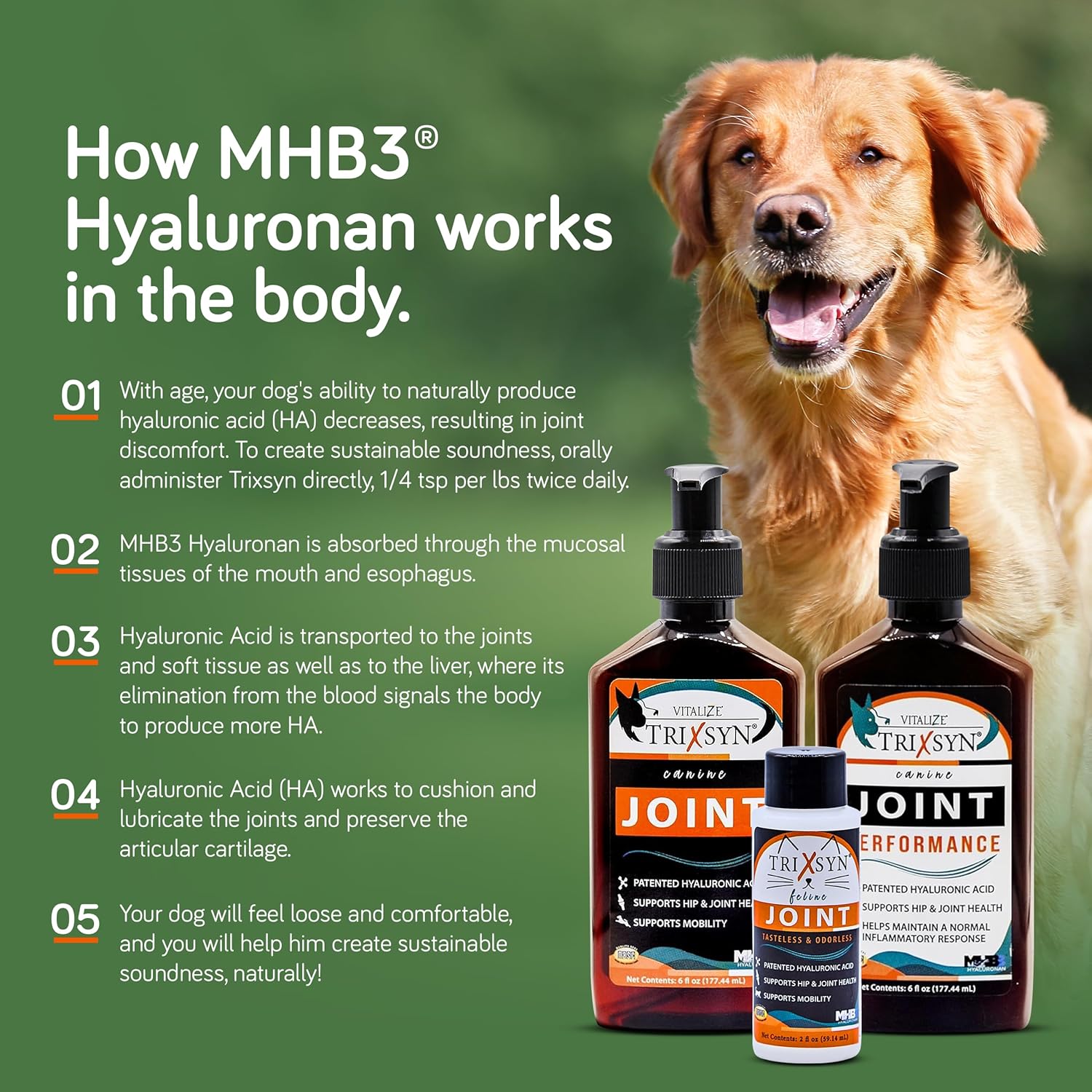 Canine - Dog Hip and Joint Supplement - Liquid Hyaluronic Acid HA for Dog - Patented Liquid Formula for Senior Dogs - MHB3 Hylauronan - 6 fl oz